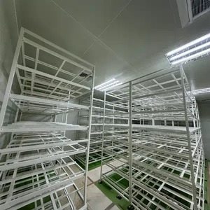 綠階栽培架